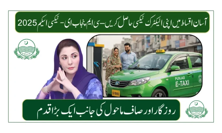 CM Punjab E-Taxi Scheme 2025