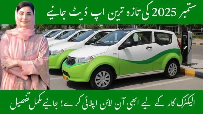 CM Punjab Electric Car Scheme 2025