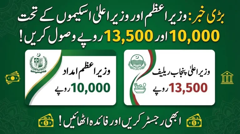 Don’t Miss This! Claim Rs. 10,000 + Rs. 13,500 via PM & CM Schemes Now.